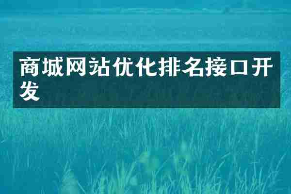 商城网站优化排名接口开发