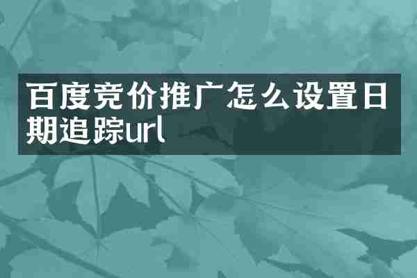 百度竞价推广怎么设置日期url