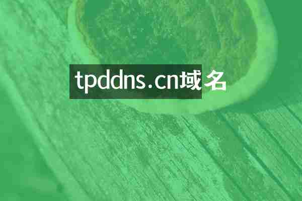 tpddns.cn域名