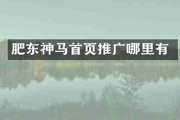 肥东神马首页推广哪里有