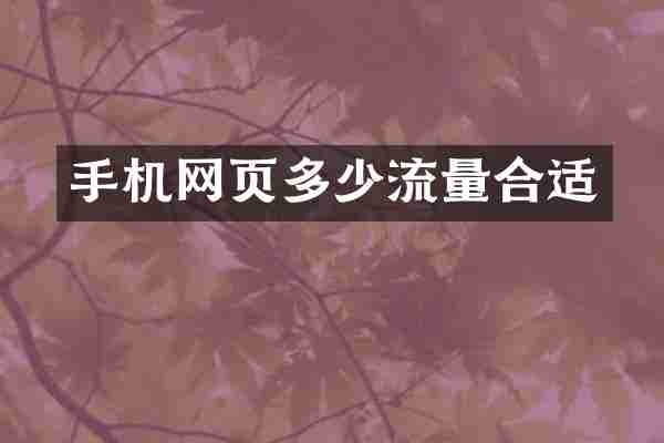 手机网页多少流量合适