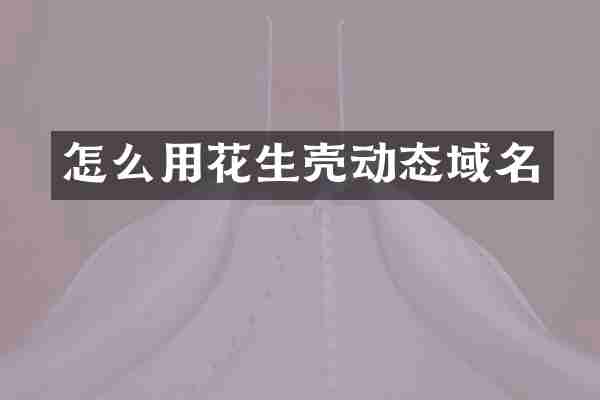 怎么用花生壳动态域名