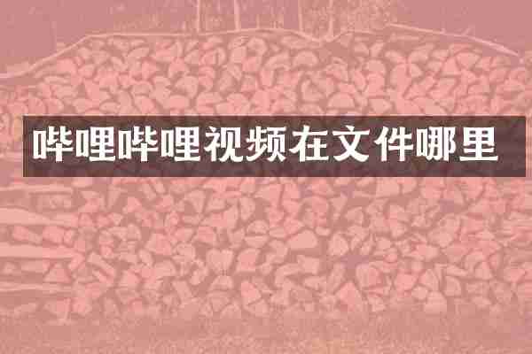 哔哩哔哩视频在文件哪里