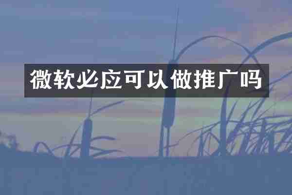 微软必应可以做推广吗