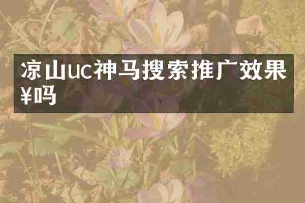 凉山uc神马搜索推广效果好吗