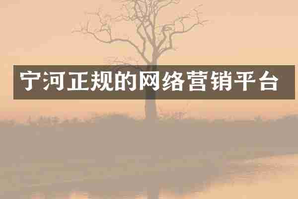 宁河正规的网络营销平台