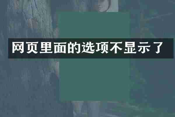 网页里面的选项不显示了