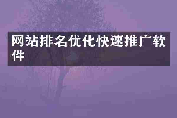 网站排名优化快速推广软件