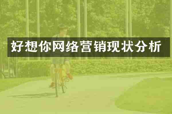 好想你网络营销现状分析