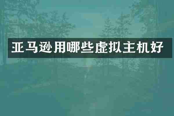 亚马逊用哪些虚拟主机好