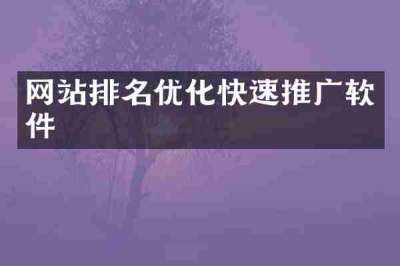 网站排名优化快速推广软件