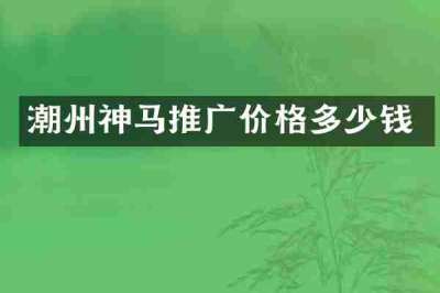 潮州神马推广价格多少钱