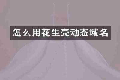 怎么用花生壳动态域名