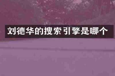 刘德华的搜索引擎是哪个