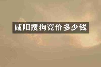 咸阳搜狗竞价多少钱
