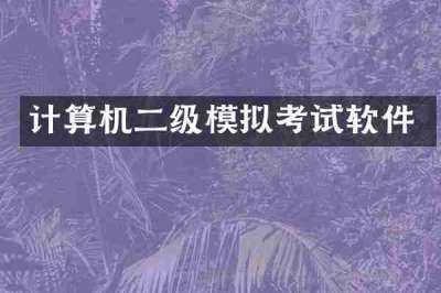 计算机二级模拟考试软件