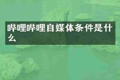 哔哩哔哩自媒体条件是什么