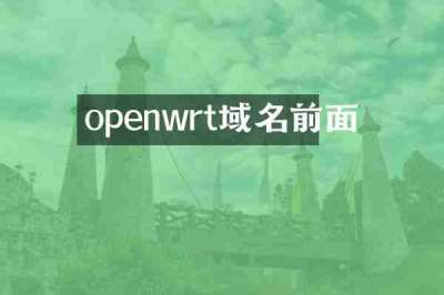 openwrt域名前面