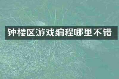 钟楼区游戏编程哪里不错