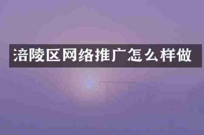 涪陵区网络推广怎么样做