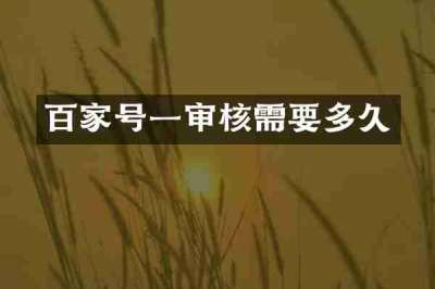 百家号一审核需要多久