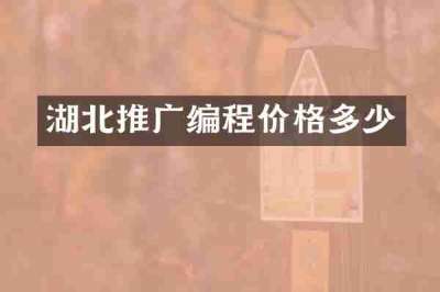 湖北推广编程价格多少