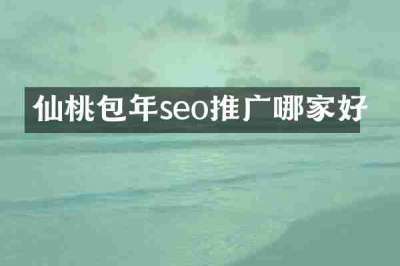 仙桃包年seo推广哪家好
