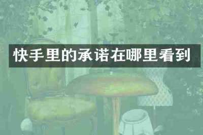 快手里的承诺在哪里看到
