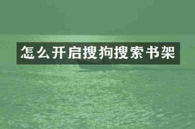 怎么开启搜狗搜索书架
