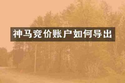 神马竞价账户如何导出