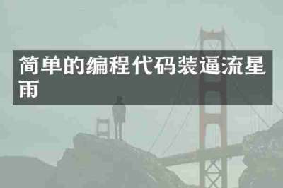 简单的编程代码装逼流星雨