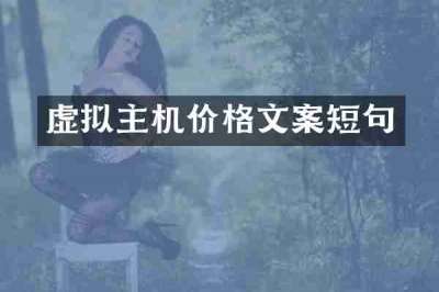 虚拟主机价格文案短句