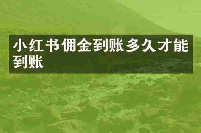 小红书佣金到账多久才能到账