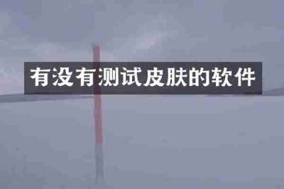 有没有测试皮肤的软件