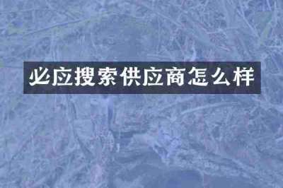 必应搜索供应商怎么样