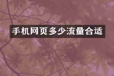 手机网页多少流量合适