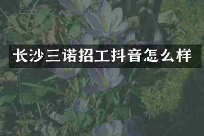 长沙三诺招工抖音怎么样