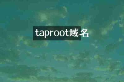 taproot域名