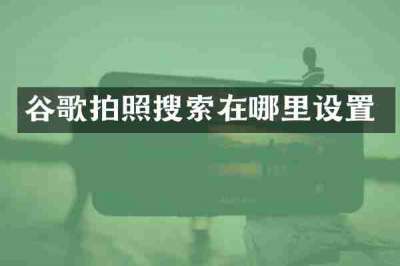 谷歌拍照搜索在哪里设置