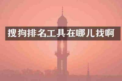 搜狗排名工具在哪儿找啊