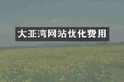 大亚湾网站优化费用