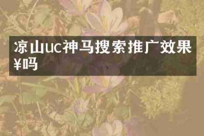 凉山uc神马搜索推广效果好吗