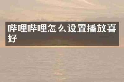 哔哩哔哩怎么设置播放喜好