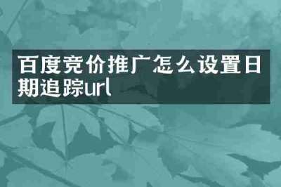 百度竞价推广怎么设置日期追踪url