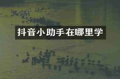 抖音小助手在哪里学
