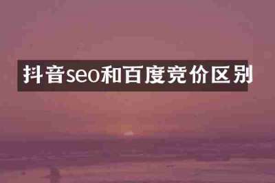 抖音seo和百度竞价区别