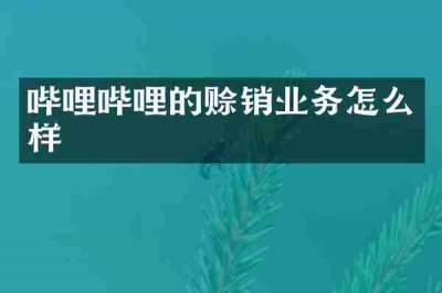 哔哩哔哩的赊销业务怎么样