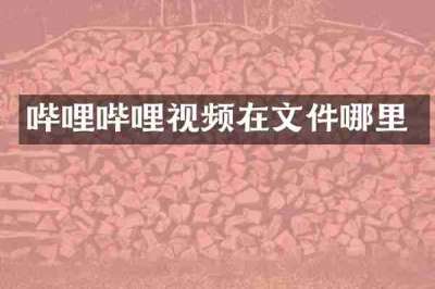 哔哩哔哩视频在文件哪里