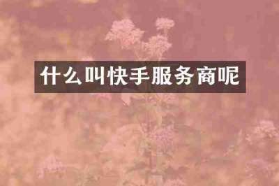 什么叫快手服务商呢