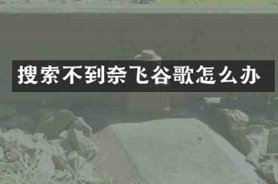 搜索不到奈飞谷歌怎么办